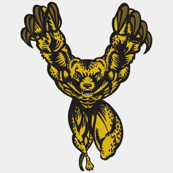 BAW CHEETAH 09 RC Thumbnail