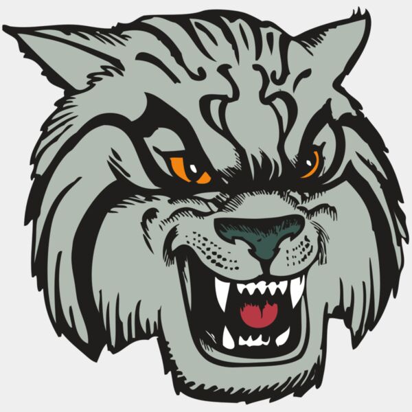 BAW WILDCAT 03 RC Thumbnail